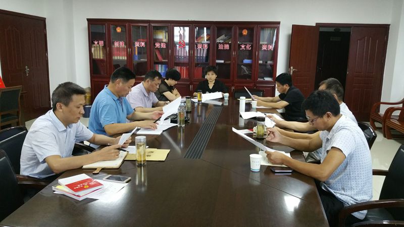 市法院机关党委对“两学一做”进行评查_副本.jpg