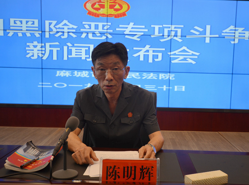 图二 麻城市法院党组副书记、副院长陈明辉回答记者提问.JPG