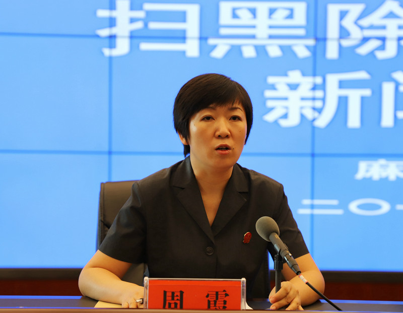 图四 麻城市法院刑庭副庭长、扫黑办副主任周霞回答记者提问.JPG