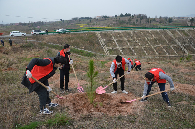 图二 植树一角.JPG