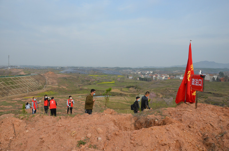 图三 植树全景.JPG